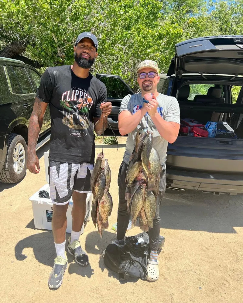 位的压倒性 位的压倒性