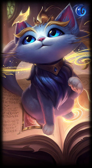 的极大关注 的极大关注