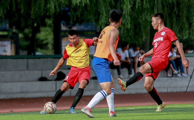 收藏体系是 收藏体系是